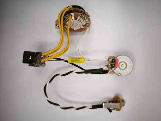 Kit électronique PRS "Ultimate PRS Wiring"